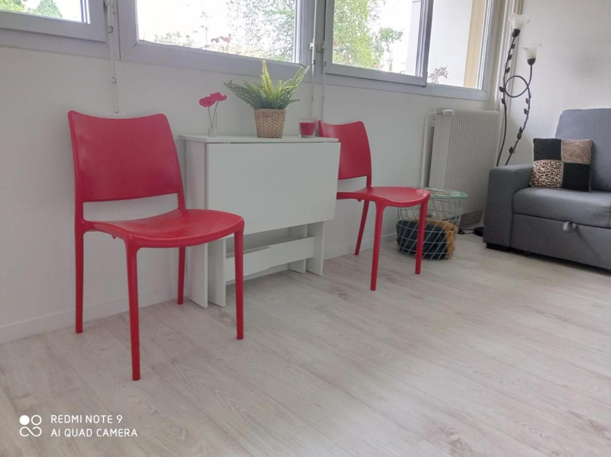 Appartement La Roseraie Parking Prive Mâcon エクステリア 写真