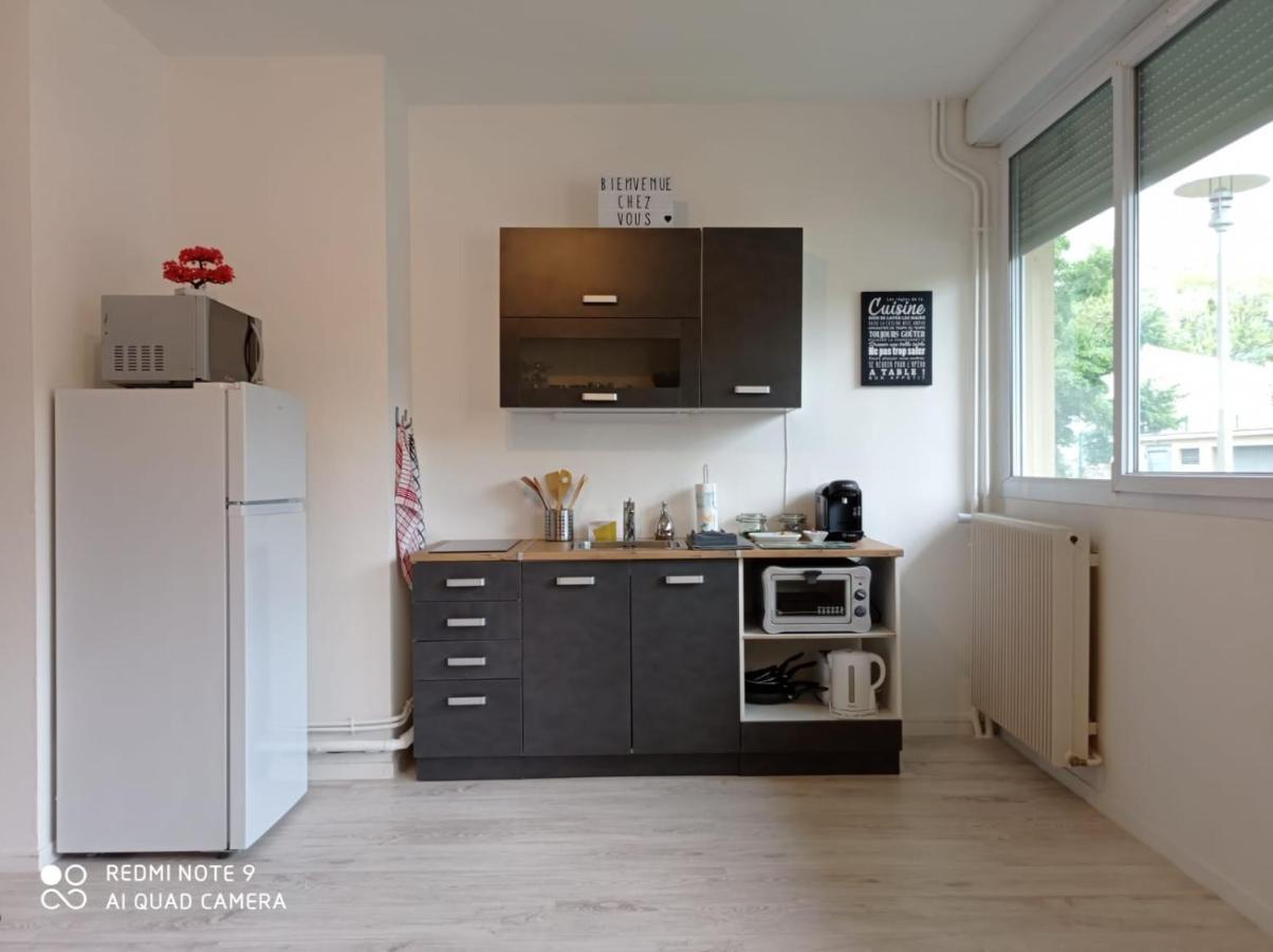 Appartement La Roseraie Parking Prive Mâcon エクステリア 写真