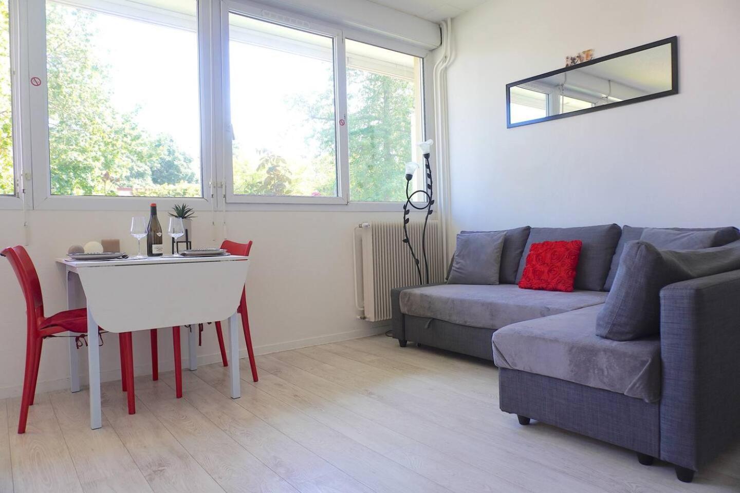 Appartement La Roseraie Parking Prive Mâcon エクステリア 写真